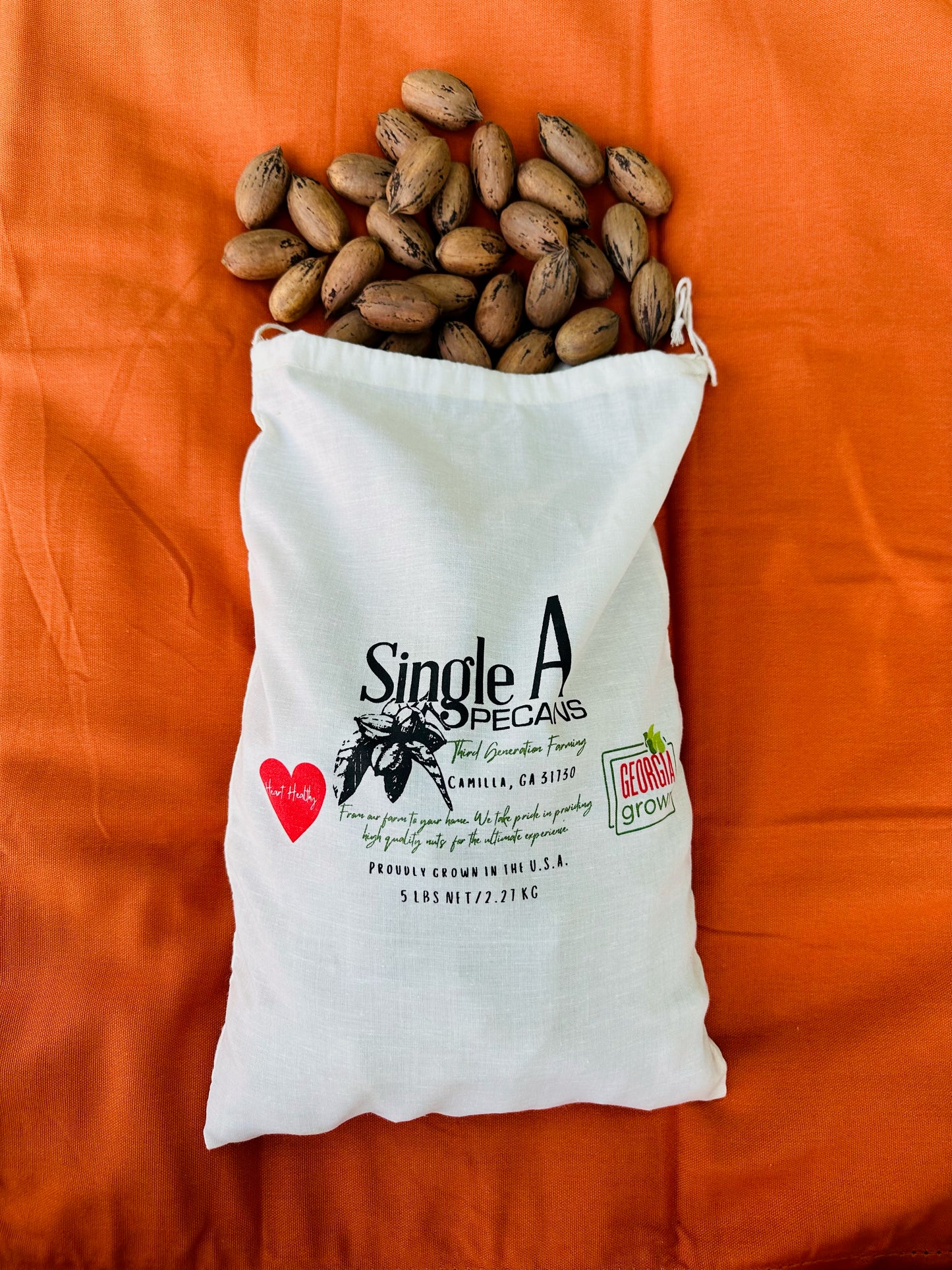 Single A Pecans: Georgia Grown Premium In-shell Pecans 5 lbs- Perfect for snacking! Current season pecans!